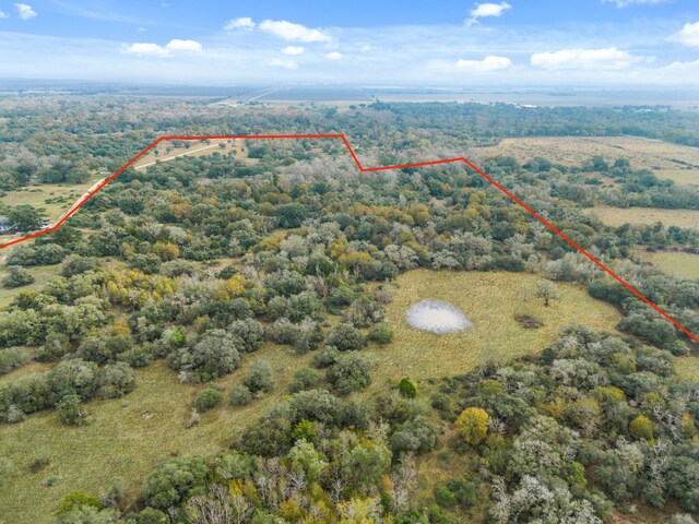 00 Dewberry Ln, Louise, TX 77455