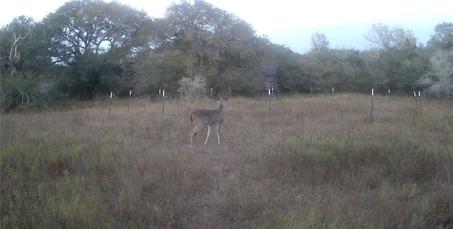 00 Dewberry Ln, Louise, TX 77455