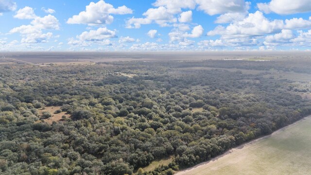 00 Dewberry Ln, Louise, TX 77455