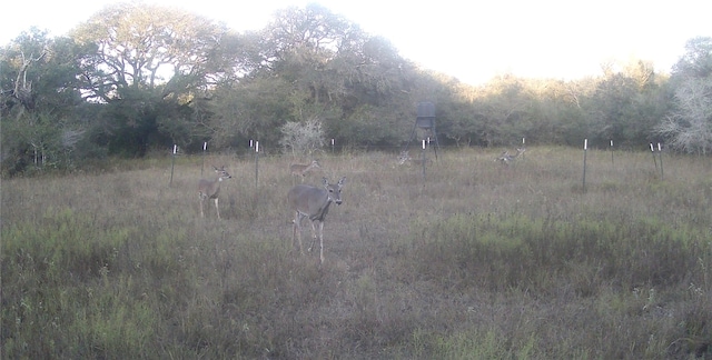 00 Dewberry Ln, Louise, TX 77455