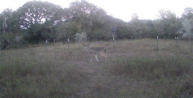 00 Dewberry Ln, Louise, TX 77455