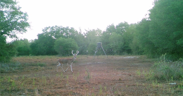 00 Dewberry Ln, Louise, TX 77455