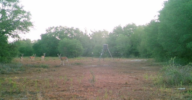 00 Dewberry Ln, Louise, TX 77455
