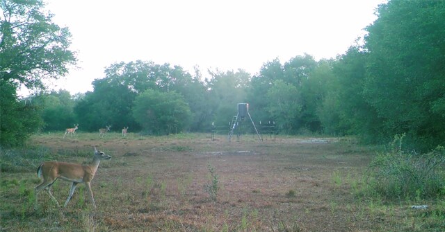 00 Dewberry Ln, Louise, TX 77455