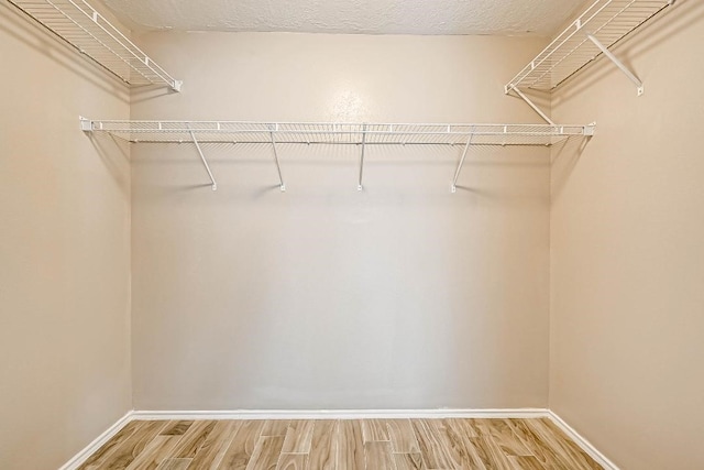 1406 Hade Falls Ln, Houston, TX 77073 - walk in closet with light wood-style floors