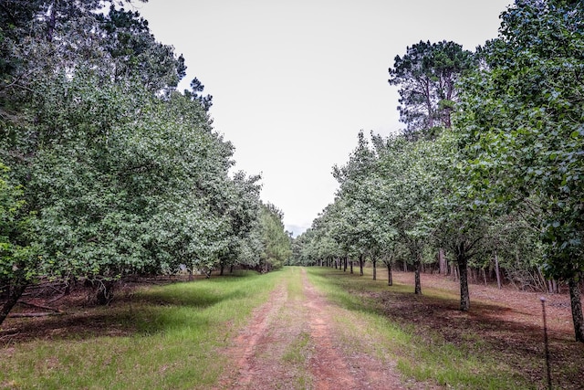1288 Harkins Ln, Marshall, TX 75672