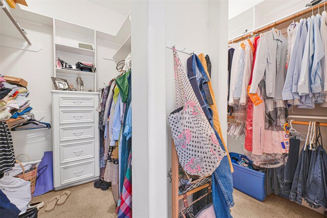 17814 Shady Arbor Way, Spring, TX 77379 - walk in closet featuring light carpet