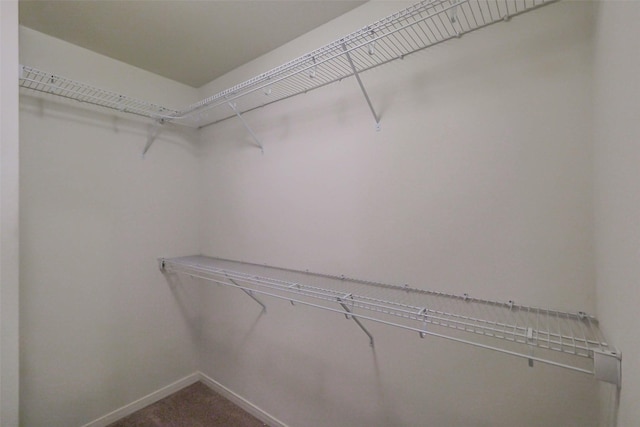 10515 Logger Pine Trl, Houston, TX 77088 - photo 17
