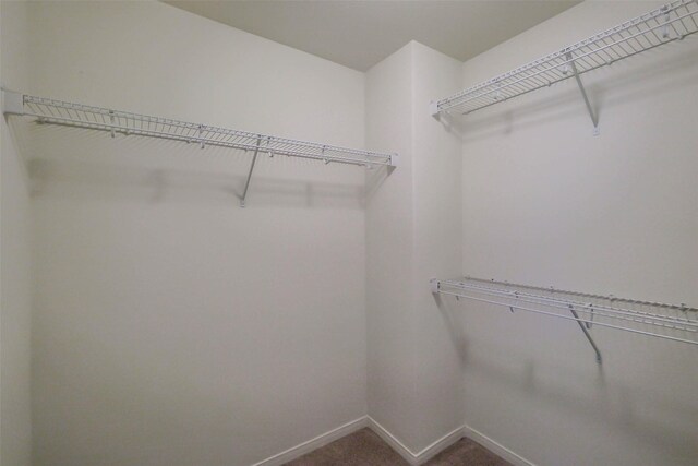 10515 Logger Pine Trl, Houston, TX 77088 - photo 18
