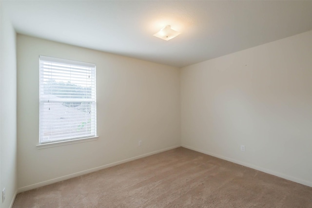 10515 Logger Pine Trl, Houston, TX 77088 - photo 19