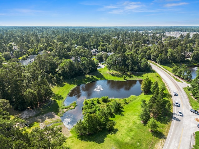146 S Star Ridge Cir, The Woodlands, TX 77382 - aerial view of a nearby body of water and a forest