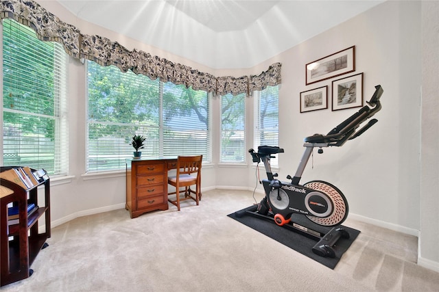 14414 Spanish River Ln, Cypress, TX 77429 - workout room featuring carpet and baseboards