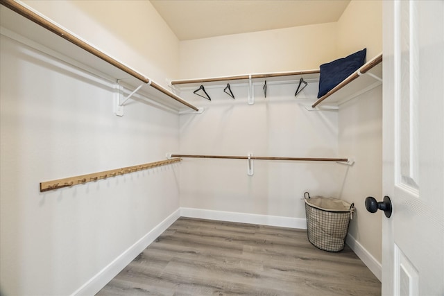13411 SE Via Chianti Ln, Cypress, TX 77429 - spacious closet featuring wood finished floors