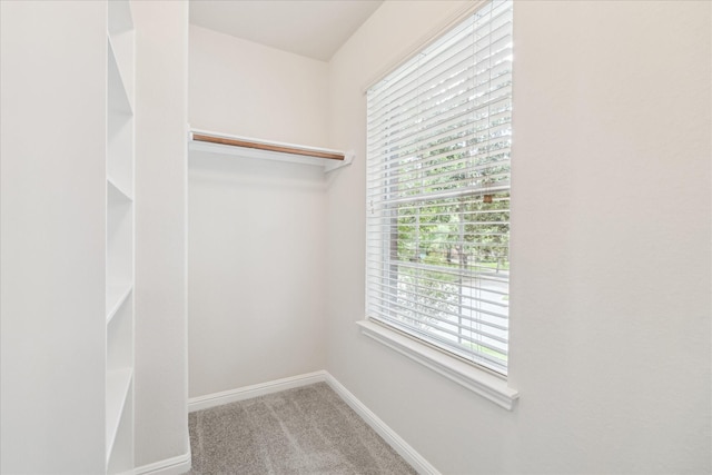 13411 SE Via Chianti Ln, Cypress, TX 77429 - spacious closet with carpet