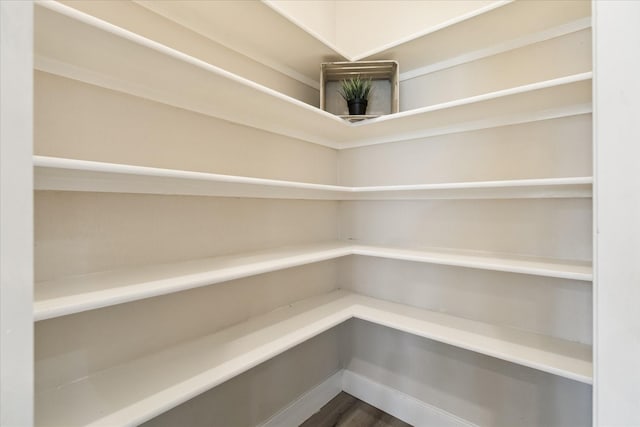 13411 SE Via Chianti Ln, Cypress, TX 77429 - view of pantry