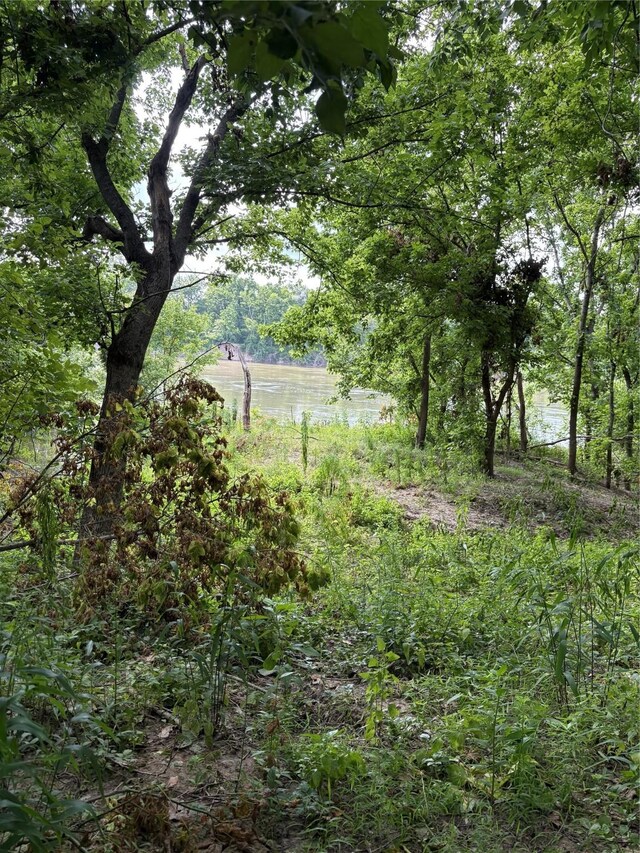 TBD River Rd S, Livingston, TX 77351