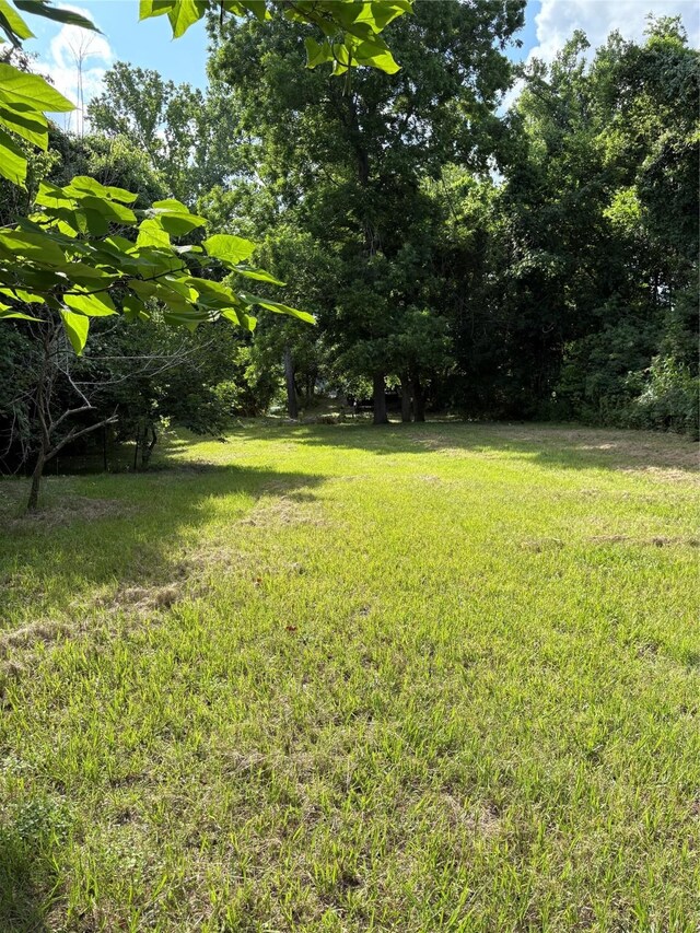 TBD River Rd S, Livingston, TX 77351
