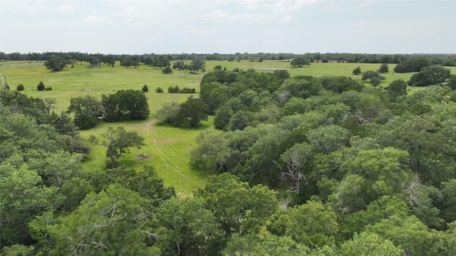 00 Greenvine Rd, Brenham, TX 77833 - photo 6