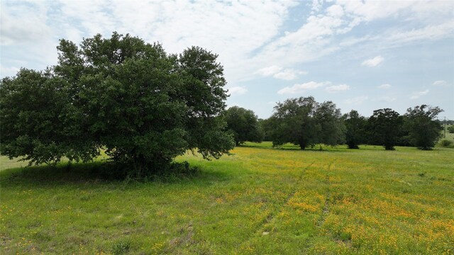 00 Greenvine Rd, Brenham, TX 77833 - photo 9