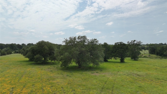 00 Greenvine Rd, Brenham, TX 77833 - photo 10