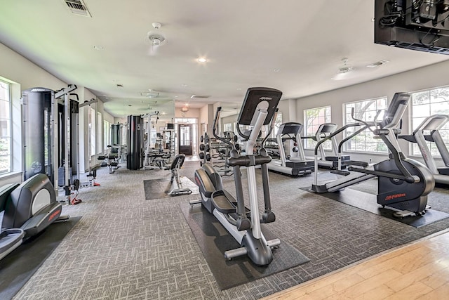 2400 Mccue Rd Unit 250, Houston, TX 77056 - gym with healthy amount of natural light and wood finished floors