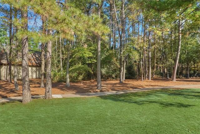 3164 Bentwater Dr, Montgomery, TX 77356