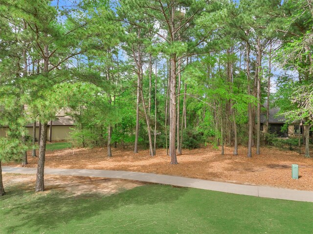3164 Bentwater Dr, Montgomery, TX 77356