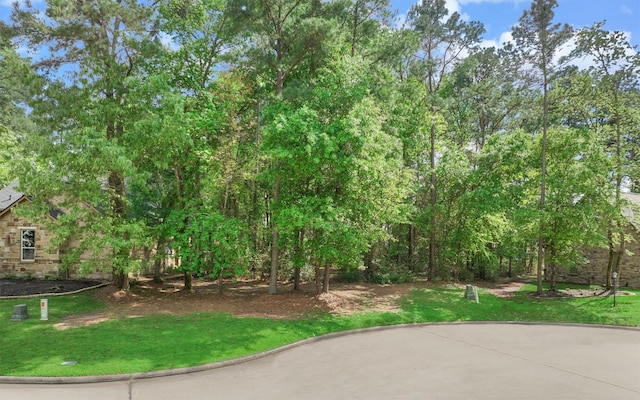 3164 Bentwater Dr, Montgomery, TX 77356