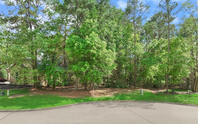 3164 Bentwater Dr, Montgomery, TX 77356