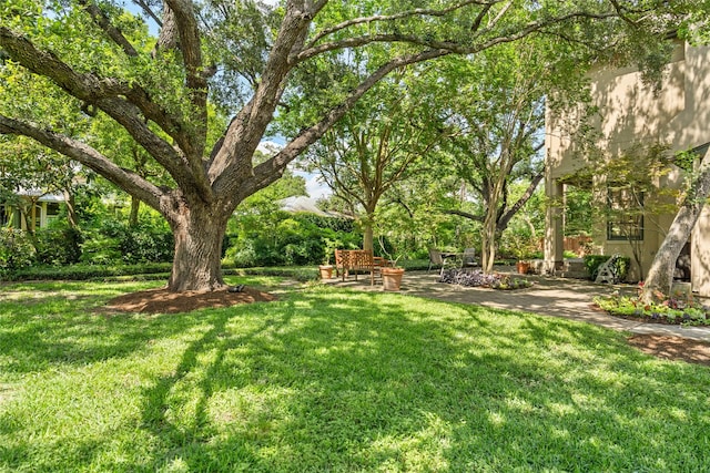 3502 Underwood St, Houston, TX 77025 - view of grassy yard