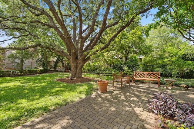 3502 Underwood St, Houston, TX 77025 - view of patio