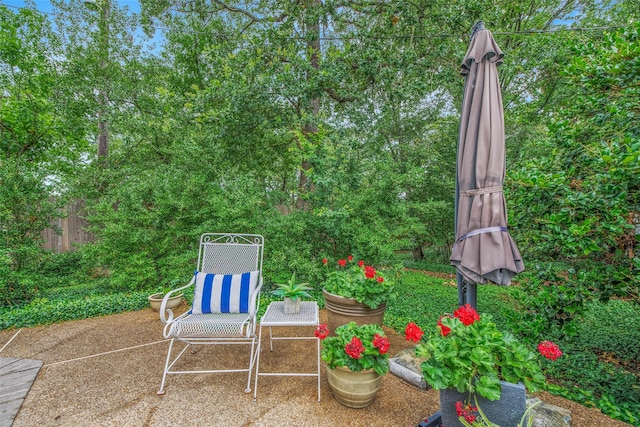 3008 Cochise Ct, College Station, TX 77845 - view of patio / terrace