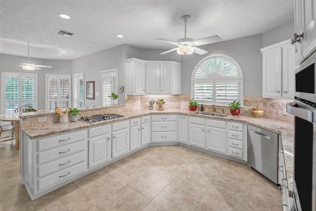 3008 Cochise Ct, College Station, TX 77845 - kitchen featuring a ceiling fan, stainless steel appliances, a peninsula, a sink, and decorative backsplash
