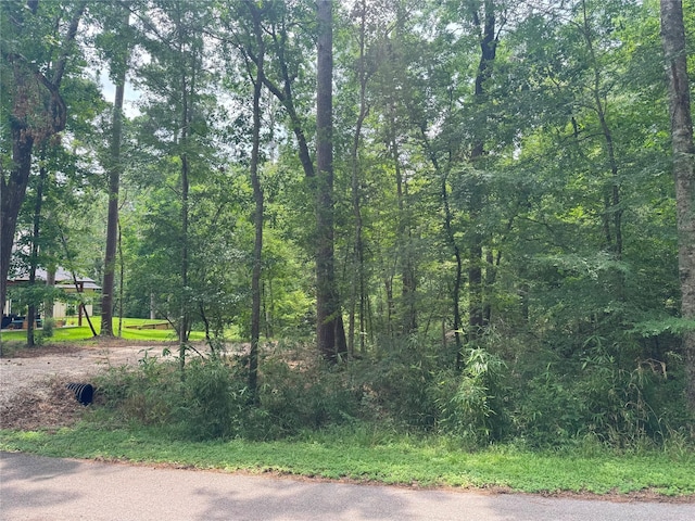 77 S Pine Harbour Dr, Coldspring, TX 77331