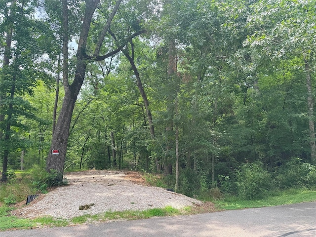 77 S Pine Harbour Dr, Coldspring, TX 77331