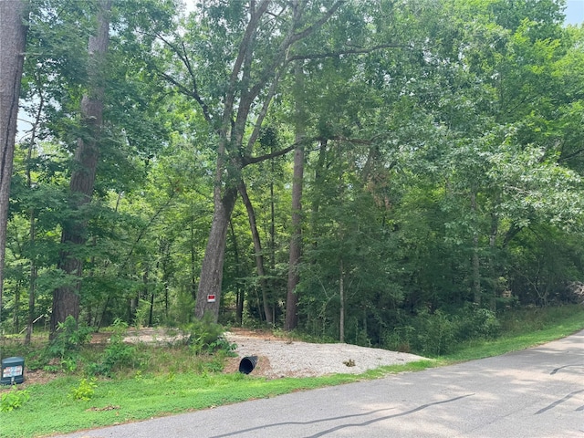 77 S Pine Harbour Dr, Coldspring, TX 77331