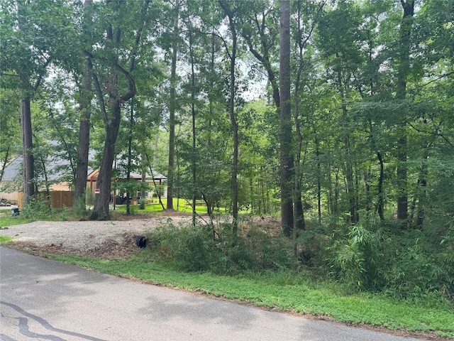 77 S Pine Harbour Dr, Coldspring, TX 77331