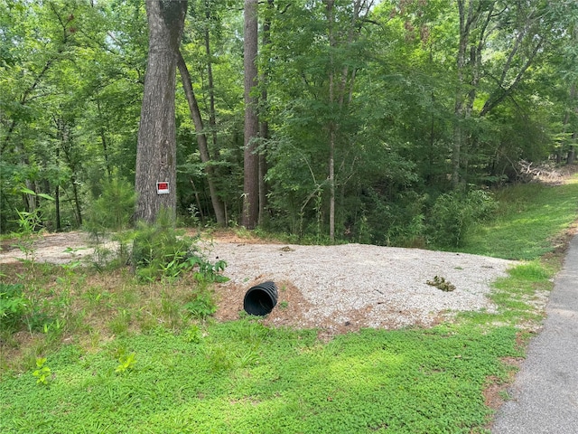 77 S Pine Harbour Dr, Coldspring, TX 77331