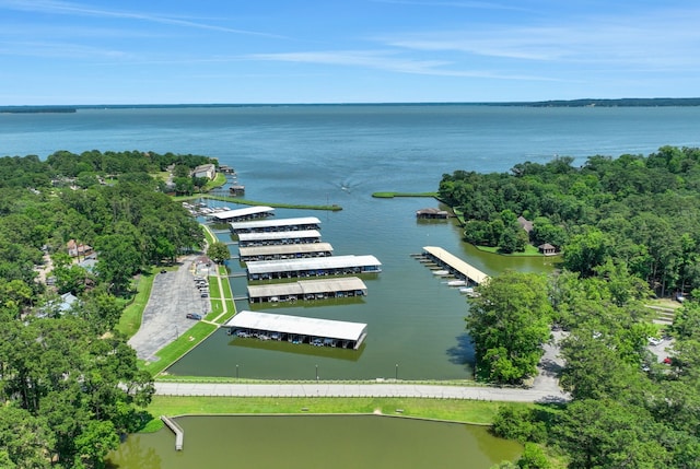 77 S Pine Harbour Dr, Coldspring, TX 77331