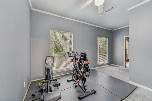 2411 Oakbank Dr, Houston, TX 77339 - exercise room featuring ornamental molding, healthy amount of natural light, baseboards, and a ceiling fan
