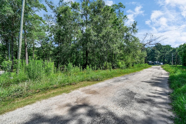 109 Champion Ct, Livingston, TX 77351