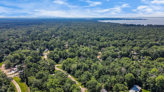 109 Champion Ct, Livingston, TX 77351