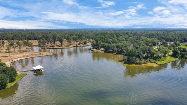 109 Champion Ct, Livingston, TX 77351