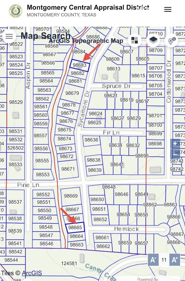 LOT69 Sycamore, Montgomery, TX 77356 - photo 3