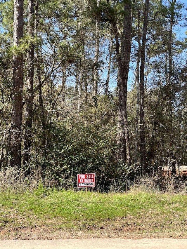 LOT69 Sycamore, Montgomery, TX 77356 - photo 4