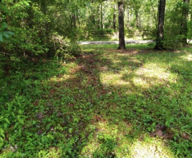 LOT69 Sycamore, Montgomery, TX 77356 - photo 5
