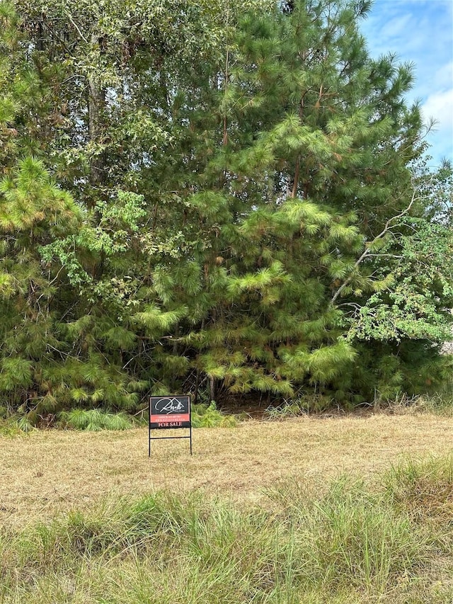 0 Mendecino Glen Ln, Houston, TX 77336 - photo 2