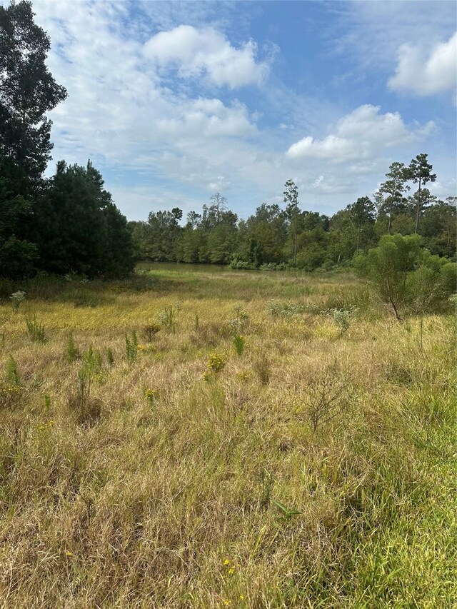 0 Mendecino Glen Ln, Houston, TX 77336 - photo 3