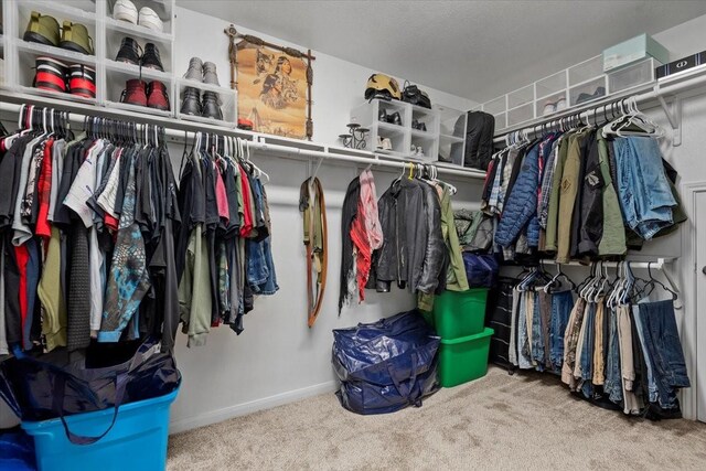 8731 Majesticbrook Dr, Houston, TX 77095 - walk in closet featuring carpet floors