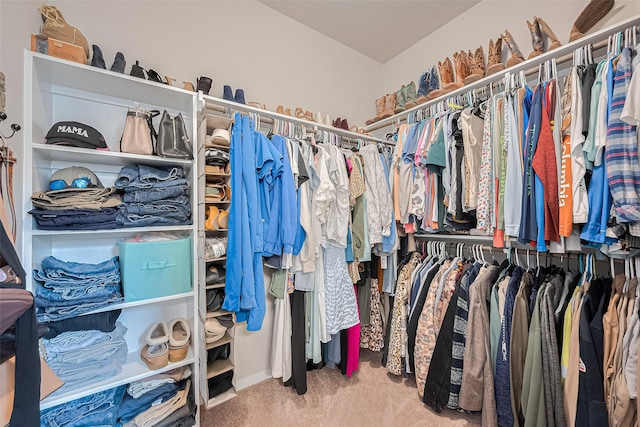 1214 Red Hills Dr, Rosharon, TX 77583 - walk in closet featuring carpet flooring